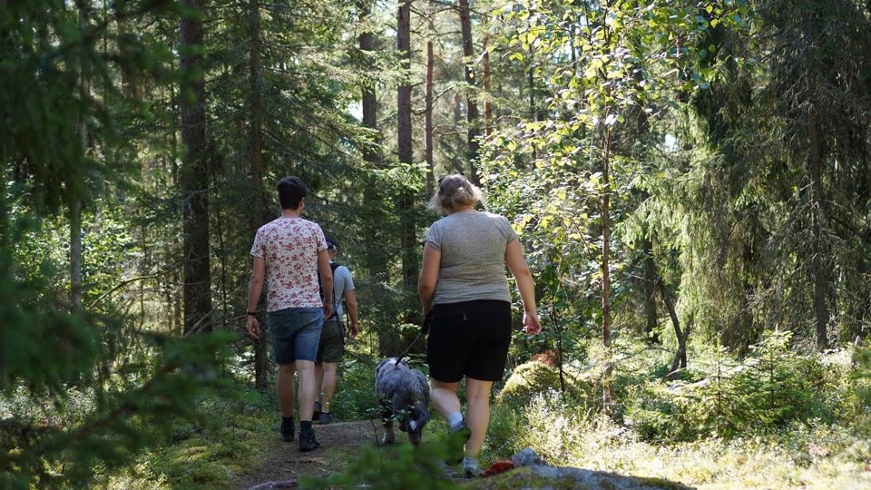 Yttrebodane 20200808