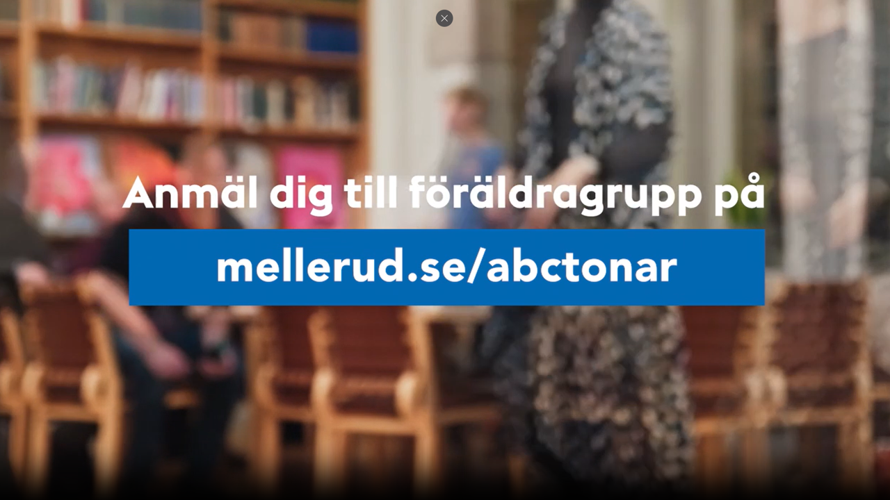 Skärmbild 2026 01 14 083048